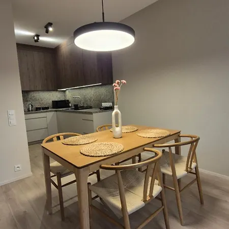 Luxurious Vanilla Apartment, Self Check-in 24h, Free Parking, Air-conditioning Appartement Poznań